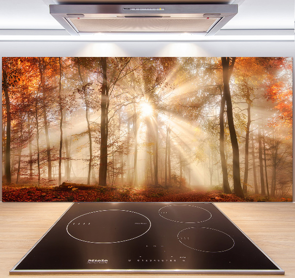 Küchen wandpaneel Nebel im Herbstwald