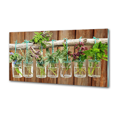 Küchen wandpaneel Kräuter im Glas