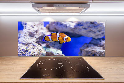 Küchen wandpaneel Korallenriff-Clownfisch
