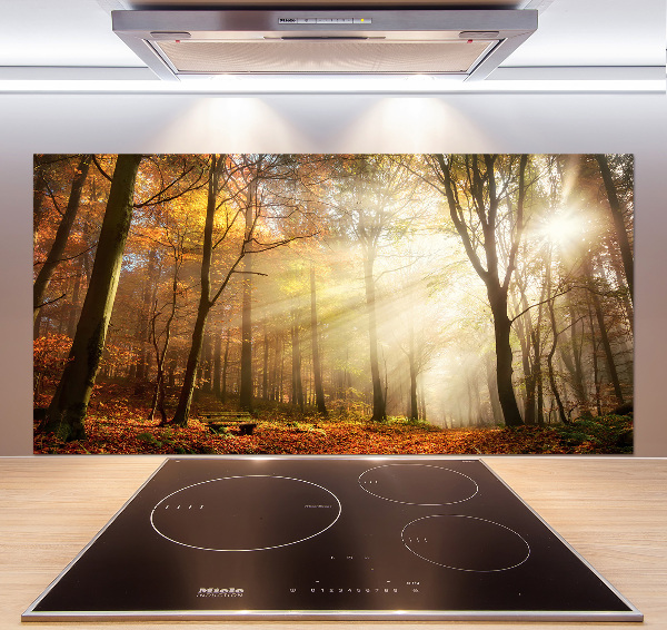 Glasrückwand für die küche Nebel im Wald