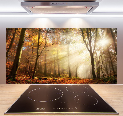 Glasrückwand für die küche Nebel im Wald