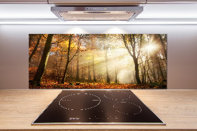 Glasrückwand für die küche Nebel im Wald