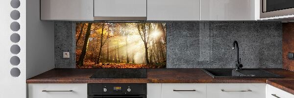 Glasrückwand für die küche Nebel im Wald