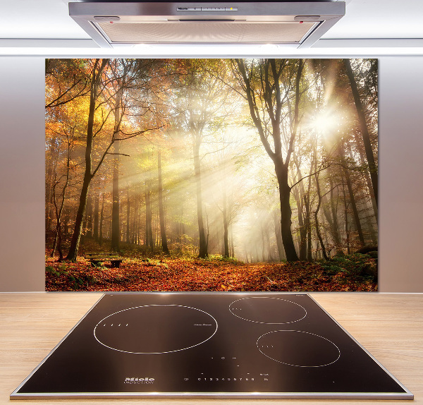 Glasrückwand für die küche Nebel im Wald