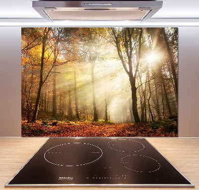 Glasrückwand für die küche Nebel im Wald