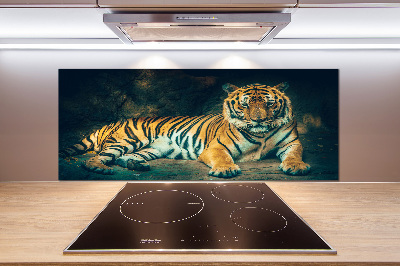 Platte für Küchenrückwand Tiger in der Höhle