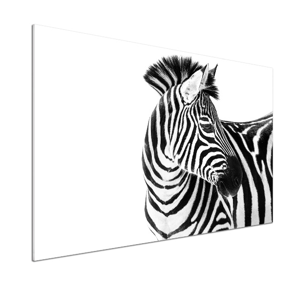 Küchen wandpaneel Zebra im Schnee
