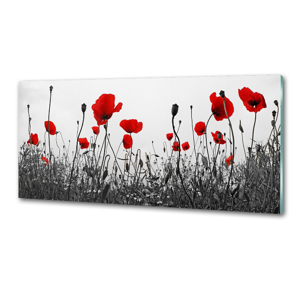 Platte für Küchenrückwand Mohnblumen