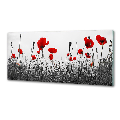 Platte für Küchenrückwand Mohnblumen