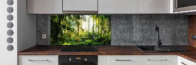 Küchen wandpaneel Morgensonne Wald