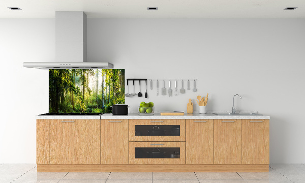 Küchen wandpaneel Morgensonne Wald