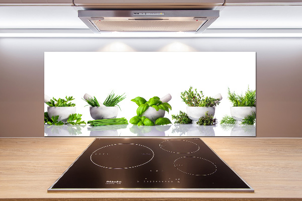 Glasrückwand für die küche Kräuter