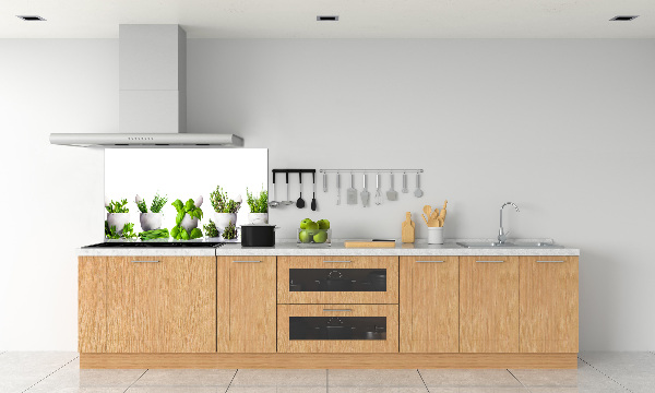 Glasrückwand für die küche Kräuter