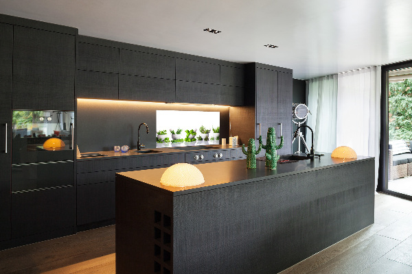 Glasrückwand für die küche Kräuter