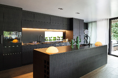 Glasrückwand für die küche Kräuter