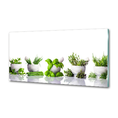 Glasrückwand für die küche Kräuter