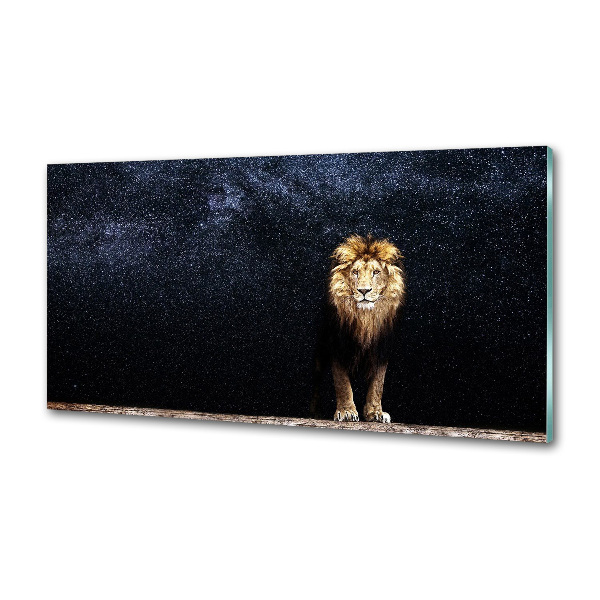 Glasrückwand für die küche Löwe gegen die Sterne