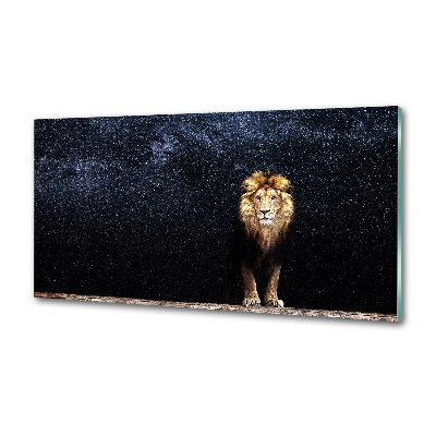 Glasrückwand für die küche Löwe gegen die Sterne