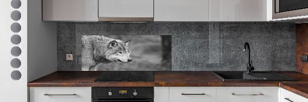 Platte für Küchenrückwand Grauer Wolf