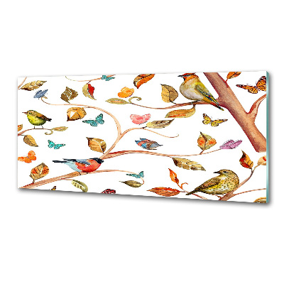 Glasrückwand für die küche Vögel und Schmetterlinge