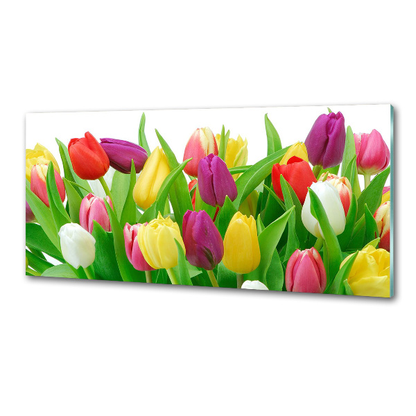 Glasrückwand für die küche Bunte Tulpen