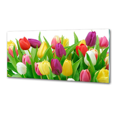Glasrückwand für die küche Bunte Tulpen