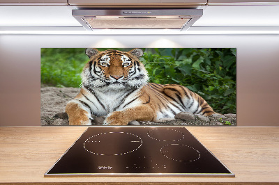 Platte für Küchenrückwand Sibirischer Tiger