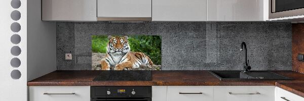 Platte für Küchenrückwand Sibirischer Tiger
