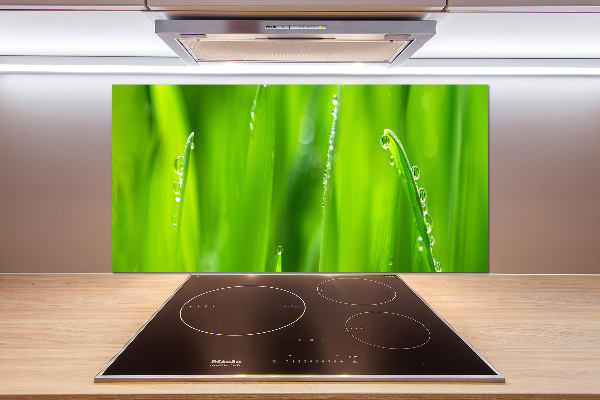 Platte für Küchenrückwand Junger Hafer