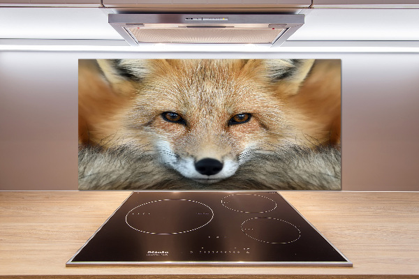 Küchen wandpaneel Fuchs