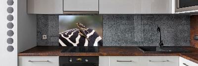 Glasrückwand für die küche Vögel und Zebras