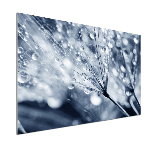 Platte für Küchenrückwand Löwenzahnsamen