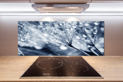 Platte für Küchenrückwand Löwenzahnsamen