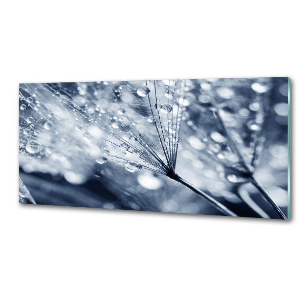 Platte für Küchenrückwand Löwenzahnsamen