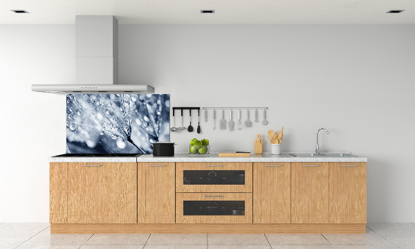 Platte für Küchenrückwand Löwenzahnsamen