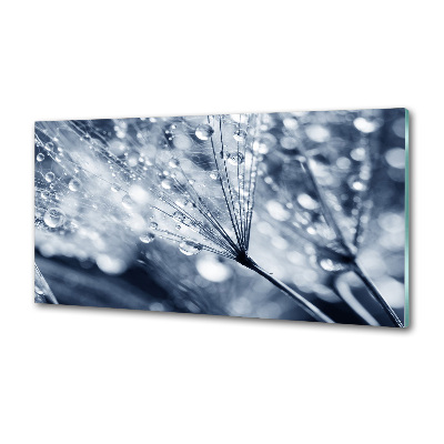 Platte für Küchenrückwand Löwenzahnsamen