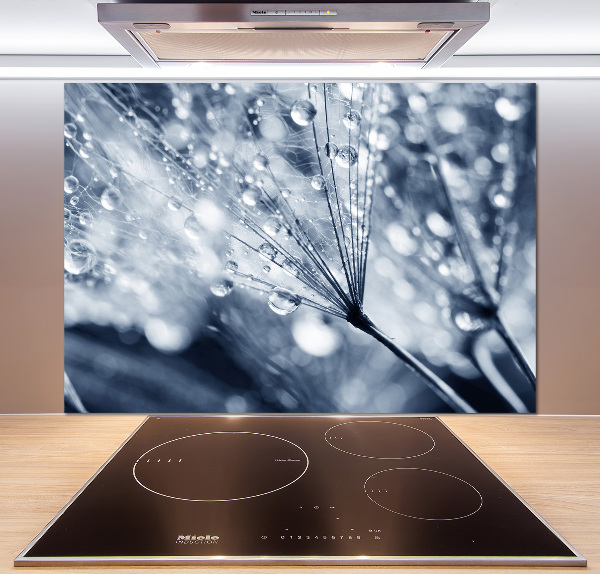 Platte für Küchenrückwand Löwenzahnsamen