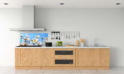 Küchen wandpaneel Gänseblümchen