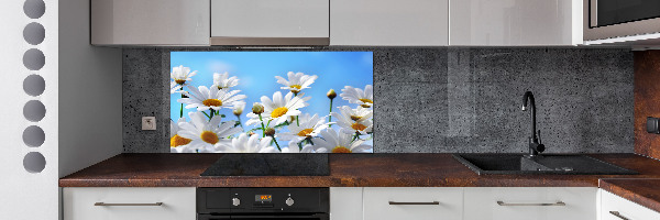 Küchen wandpaneel Gänseblümchen