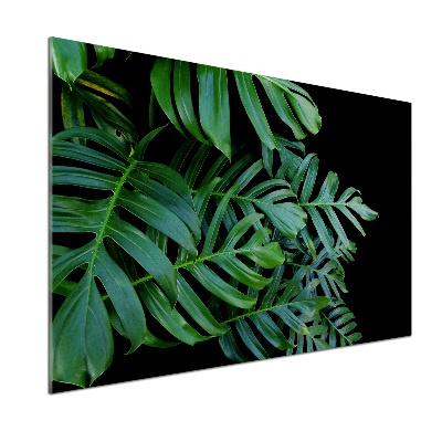Glasrückwand für die küche Monstera