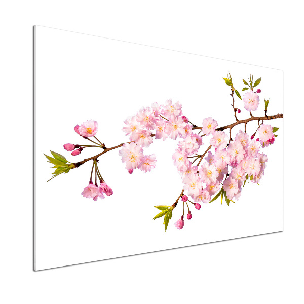 Platte für Küchenrückwand Dornen