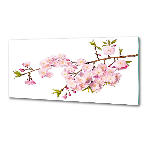 Platte für Küchenrückwand Dornen