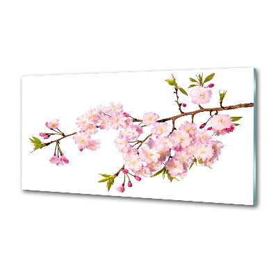 Platte für Küchenrückwand Dornen