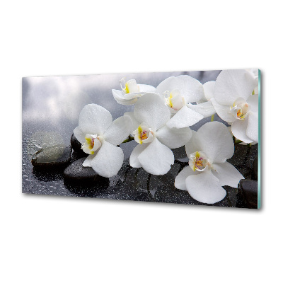 Platte für Küchenrückwand Orchidee