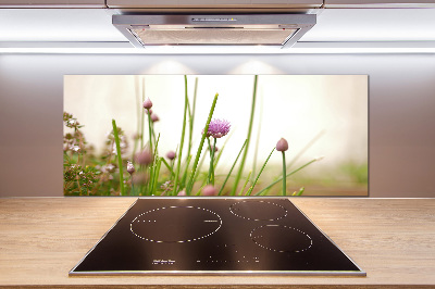 Küchen wandpaneel Schnittlauch