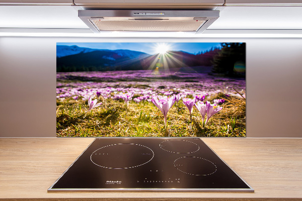 Küchen wandpaneel Krokusse auf der Lichtung