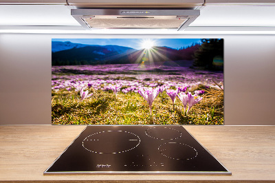 Küchen wandpaneel Krokusse auf der Lichtung