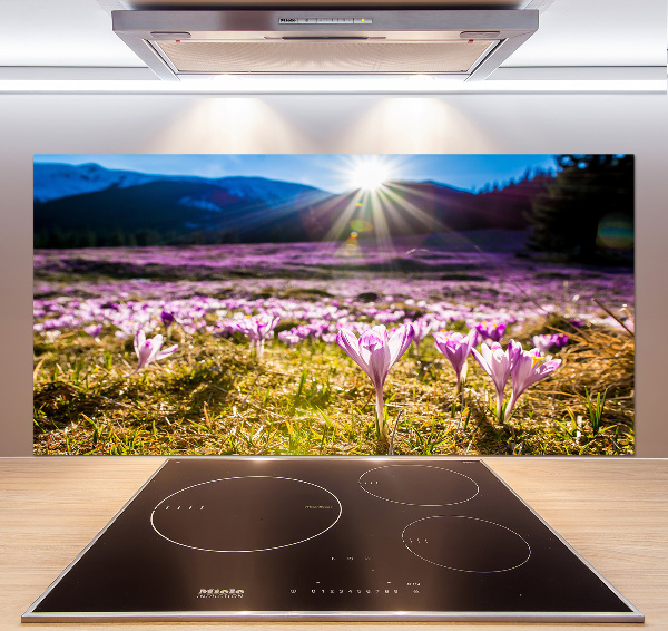 Küchen wandpaneel Krokusse auf der Lichtung