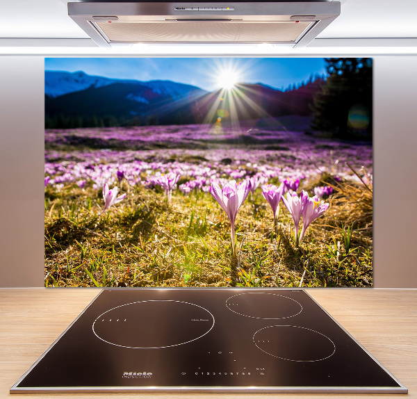 Küchen wandpaneel Krokusse auf der Lichtung