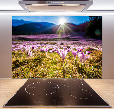 Küchen wandpaneel Krokusse auf der Lichtung